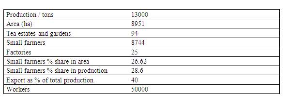 Present status of the CTC industry