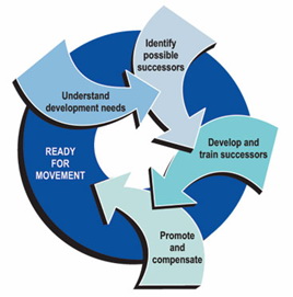 Succession planning model