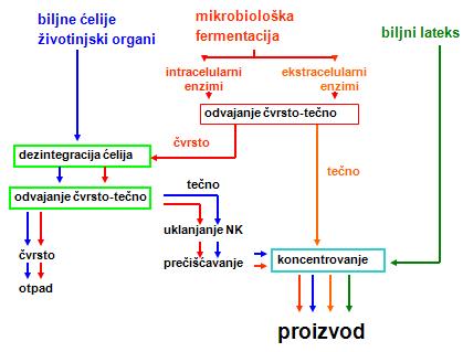 Izolovanje enzima