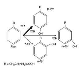 C9H11NO3 