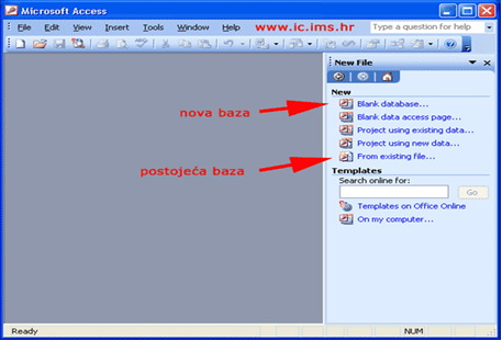 Izgled pocetnog prozora Ms Accessa 