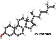 Holesterol