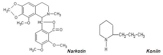 Narkotin i Koniin