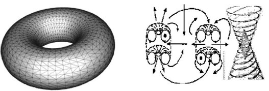 Torus i Torzijski valovi