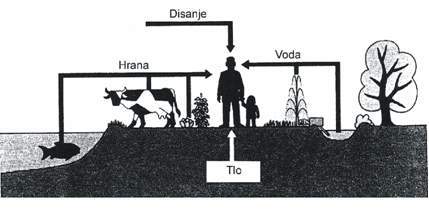 Uticaj osnovnih elemenata ekosistema na covjeka preko lanca ishrane